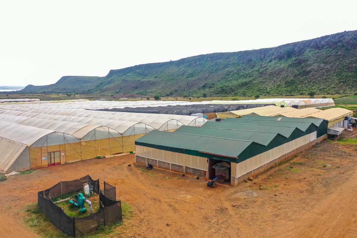 Natural terrain and outlook at Great Rift Valley Retreat